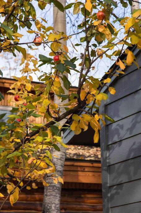 Apartamento Fireweed Gardens In Roger'S Park Anchorage Exterior foto